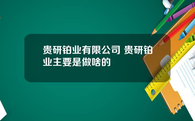 贵研铂业有限公司 贵研铂业主要是做啥的